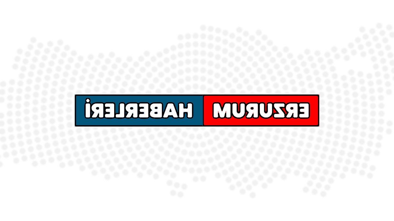 Erzurum'da Kar Yağışı Sonrası Kaza: 1 Yaralı